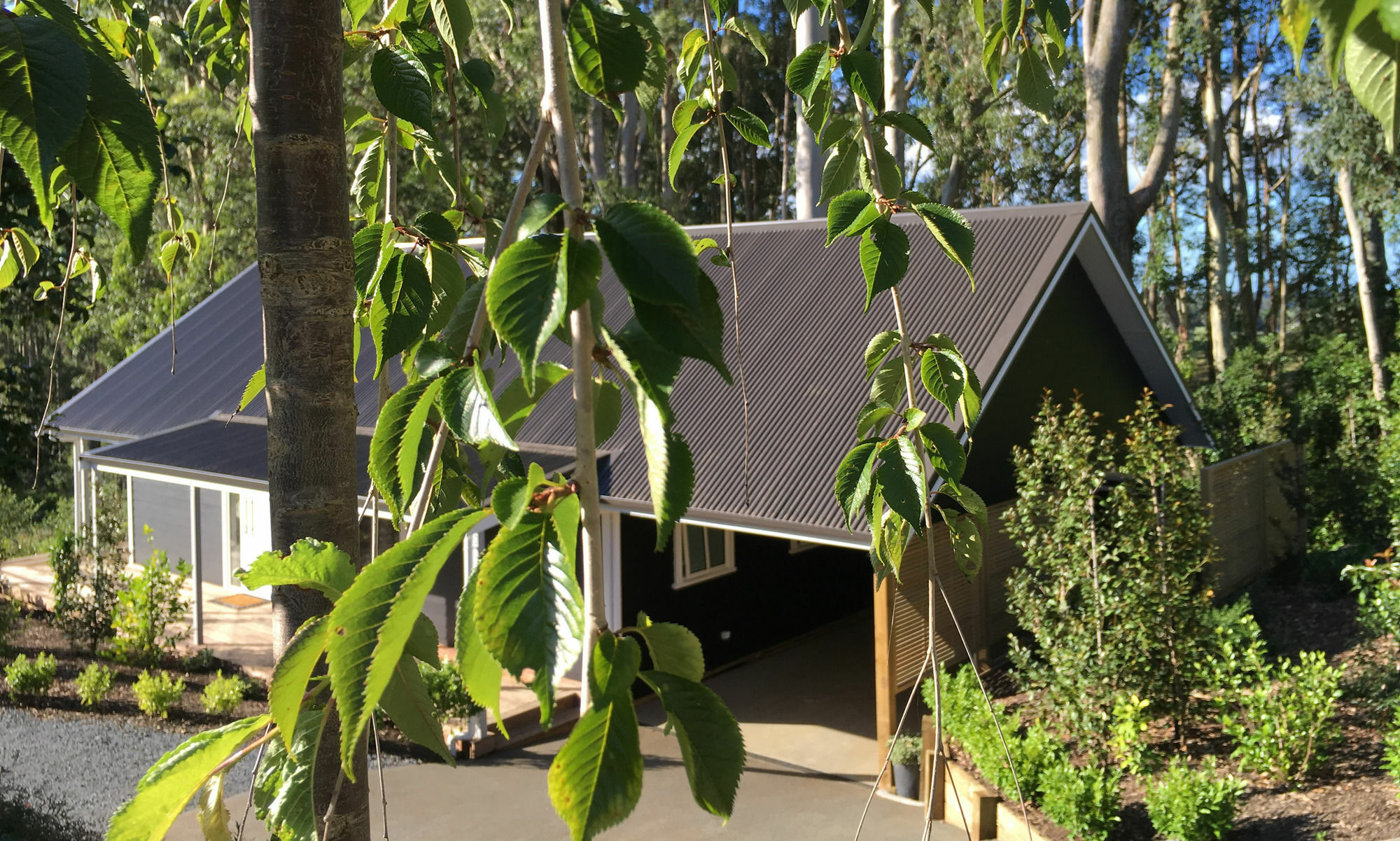 Treghan Luxury Lodge Kerikeri Exteriör bild